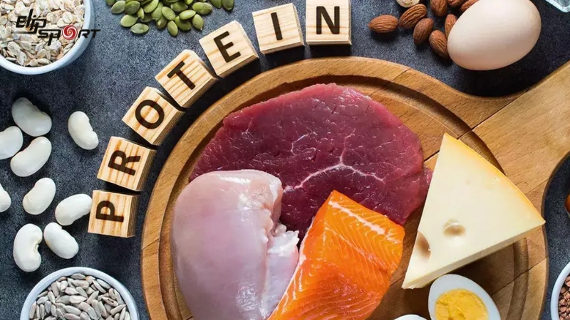 Thịt b&ograve; c&oacute; chứa protein cao hơn so với nhiều loại thịt kh&aacute;c