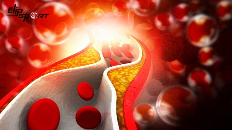 Ti&ecirc;u thụ da heo c&oacute; thể l&agrave;m giảm lipid m&aacute;u v&agrave; huyết &aacute;p