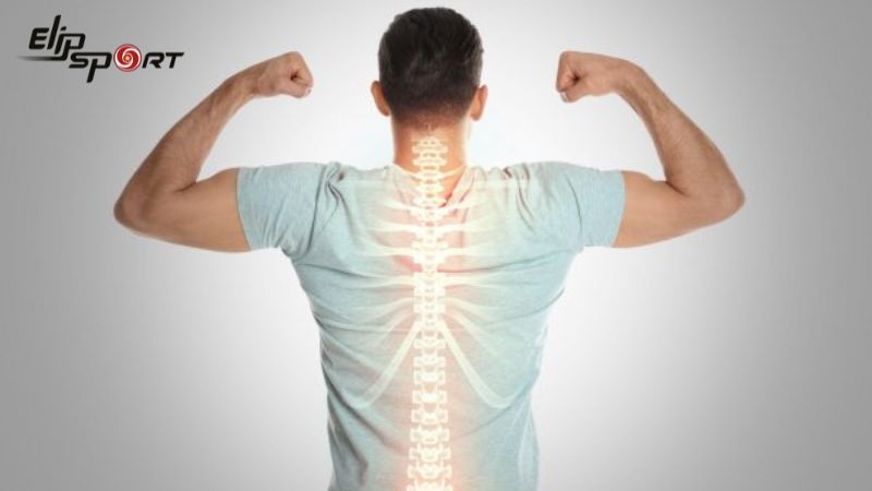Ti&ecirc;u thụ da heo đ&uacute;ng c&aacute;ch c&oacute; thể ph&aacute;t triển v&agrave; duy tr&igrave; sức khỏe của xương