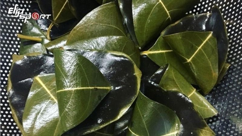 Mỗi chiếc b&aacute;nh l&aacute; mơ c&oacute; thể chứa khoảng 150-250 calo