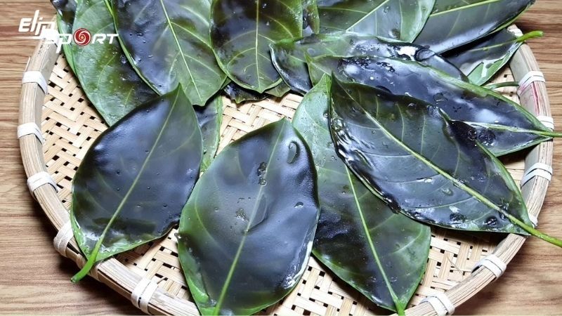 Ti&ecirc;u thụ b&aacute;nh l&aacute; mơ v&agrave;o buổi tối dễ t&iacute;ch tụ chất b&eacute;o