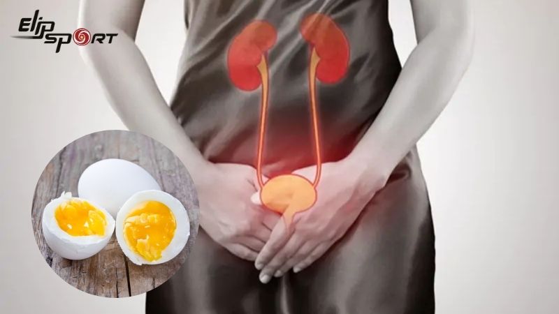H&atilde;y c&acirc;n nhắc trước khi ti&ecirc;u thu trứng nếu bạn gặp vấn đề về thận