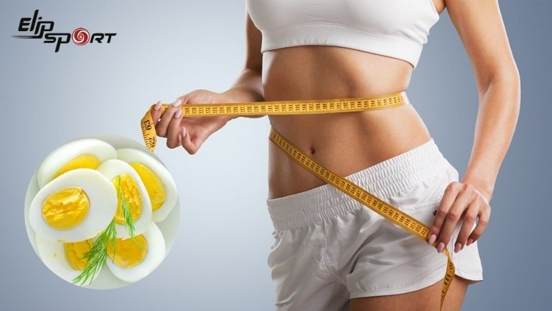 Trứng g&agrave; luộc &iacute;t calo c&oacute; khả năng hỗ trợ giảm c&acirc;n