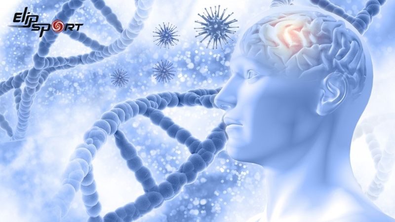 Trứng luộc cung cấp choline c&oacute; lợi cho n&atilde;o bộ