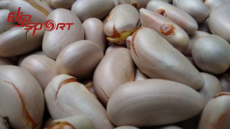Chỉ n&ecirc;n ăn một lượng hạt m&iacute;t vừa đủ mỗi ng&agrave;y