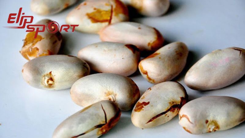 Mỗi 100g hạt m&iacute;t đều chứa đến 190 calo