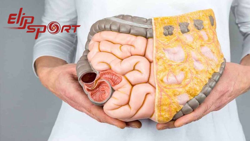 Tăng cường sức khỏe hệ ti&ecirc;u h&oacute;a