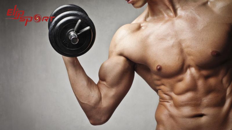 Protein đ&oacute;ng vai tr&ograve; quan trọng trong qu&aacute; tr&igrave;nh x&acirc;y dựng v&agrave; phục hồi cơ bắp