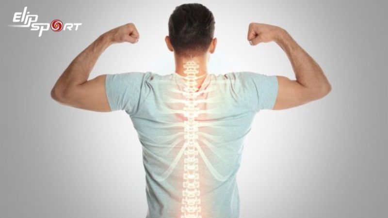 C&aacute;c dưỡng chất c&oacute; trong b&ograve;n bon gi&uacute;p duy tr&igrave; v&agrave; cải thiện sức khỏe xương v&agrave; răng