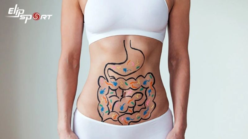 Kim chi chứa nhiều chất xơ gi&uacute;p tăng cường chức năng ti&ecirc;u h&oacute;a v&agrave; duy tr&igrave; sự khỏe mạnh của ruột