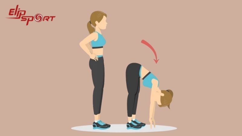 Gập người l&agrave; biện ph&aacute;p gi&uacute;p gia tăng sự linh hoạt của cơ thể v&agrave; l&agrave;m tăng chiều cao