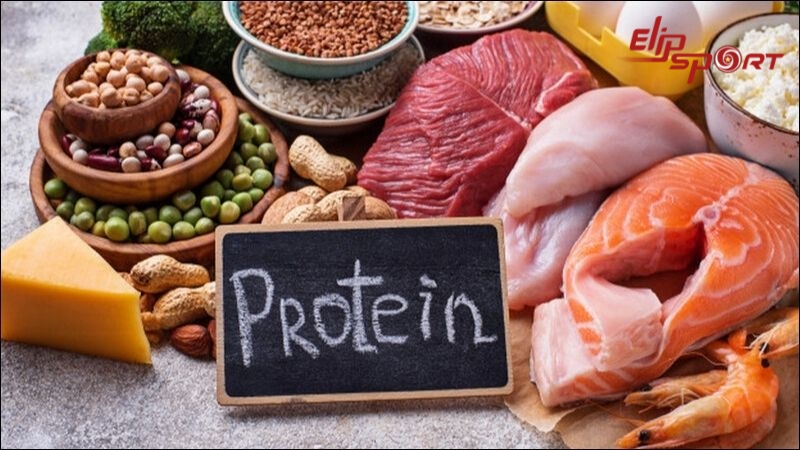 Người tập gym n&ecirc;n ăn thực phẩm gi&agrave;u protein