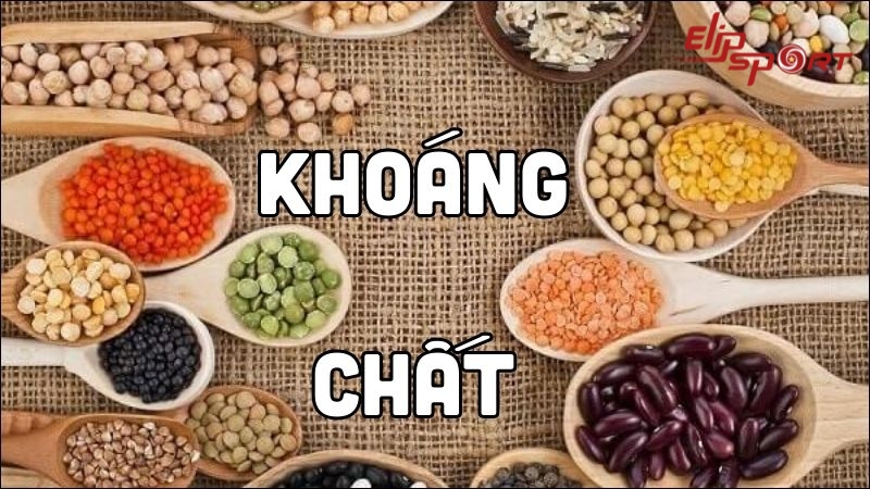 Thực phẩm gi&agrave;u kho&aacute;ng chất l&agrave; ch&igrave;a kh&oacute;a quan trọng, g&oacute;p phần v&agrave;o sự ph&aacute;t triển cơ bắp v&agrave; xương