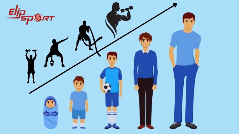 Tập luyện ở độ tuổi ph&ugrave; hợp gi&uacute;p chiều cao ph&aacute;t triển nhanh ch&oacute;ng