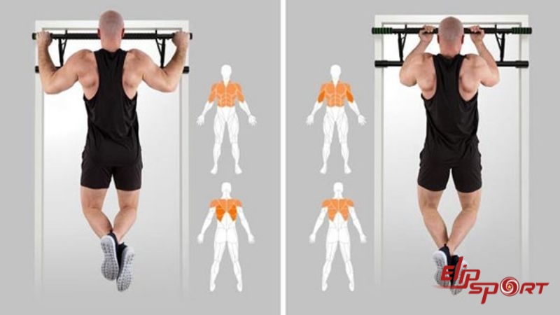 K&eacute;o x&agrave; đơn l&agrave; b&agrave;i tập gym tốt cho chiều cao