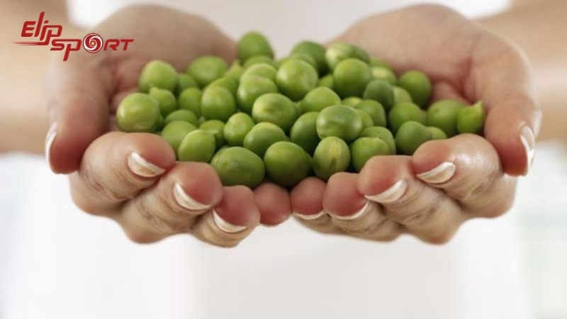 H&agrave;m lượng dinh dưỡng trong đậu H&agrave; Lan