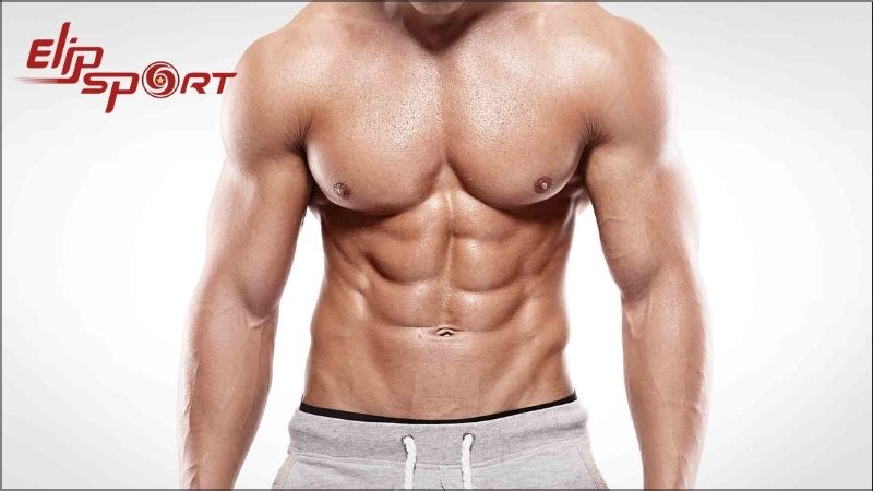 Cơ core đ&oacute;ng vai tr&ograve; như cầu nối giữa th&acirc;n tr&ecirc;n v&agrave; th&acirc;n dưới