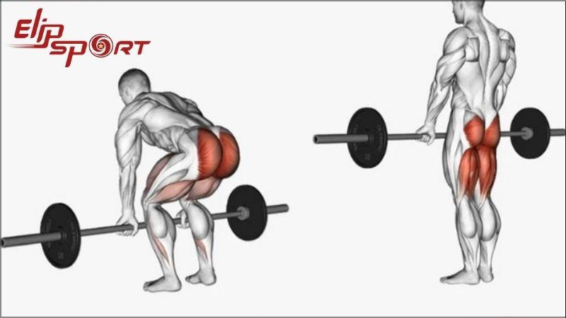 Deadlift được mệnh danh l&agrave; 
