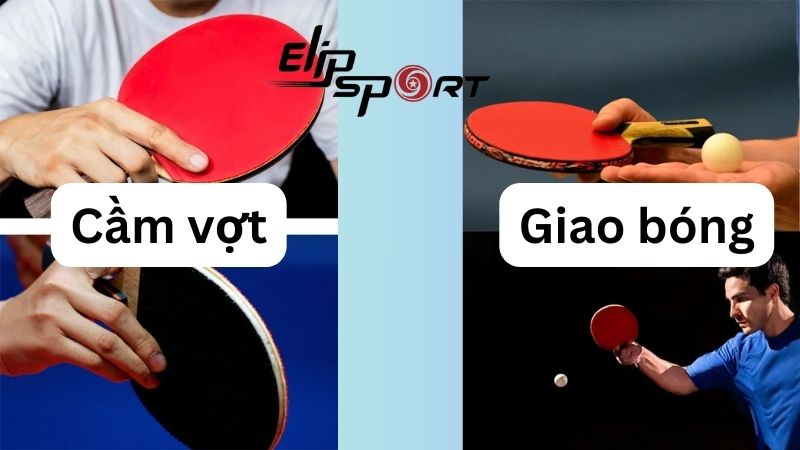 Cần vợt v&agrave; giao b&oacute;ng l&agrave; những kĩ năng cơ bản khi chơi b&oacute;ng b&agrave;n