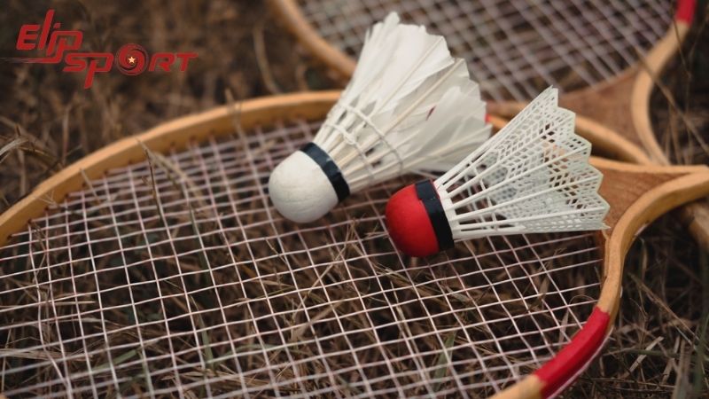 Khả năng linh hoạt của c&acirc;y vợt cầu l&ocirc;ng thường được x&aacute;c định th&ocirc;ng qua độ cứng của khung vợt