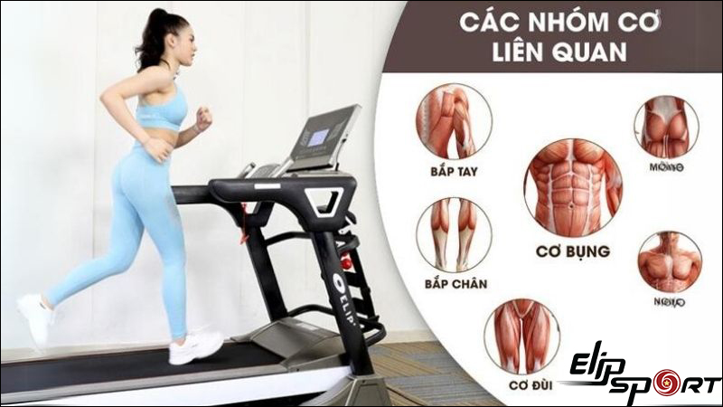 M&aacute;y chạy bộ đa năng gi&uacute;p ph&aacute;t triển cơ thể to&agrave;n diện