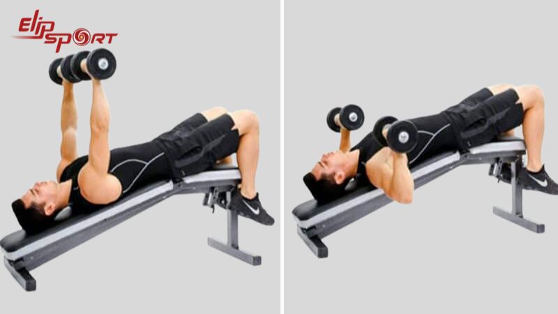 B&agrave;i tập gập tạ tr&ecirc;n ghế nghi&ecirc;ng xuống k&iacute;ch th&iacute;ch to&agrave;n bộ cơ ngực ph&aacute;t triển một c&aacute;ch to&agrave;n diện