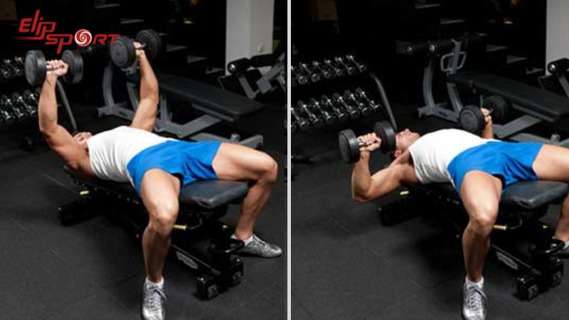 B&agrave;i tập nằm đẩy tạ hẹp tay tăng cường sức mạnh v&agrave; k&iacute;ch thước của cơ ngực