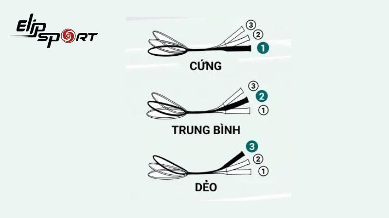 Chọn theo độ cứng, mềm của th&acirc;n vợt