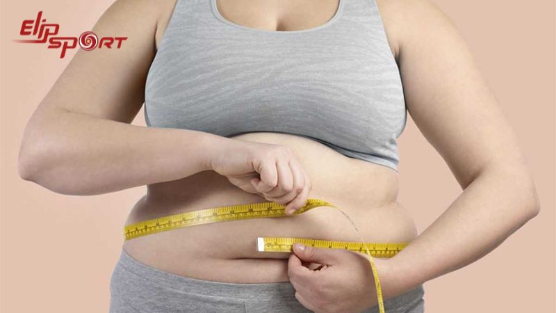 Nếu bạn ăn b&aacute;nh khoai t&acirc;y qu&aacute; nhiều th&igrave; rất dễ g&acirc;y t&igrave;nh trạng thừa c&acirc;n b&eacute;o ph&igrave;