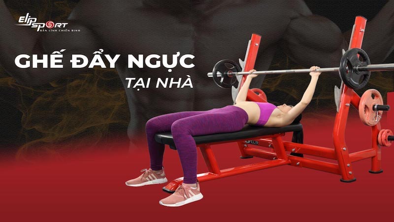 Ghế banh đẩy ngực ELIP hỗ trợ tăng k&iacute;ch thước của cơ ngực