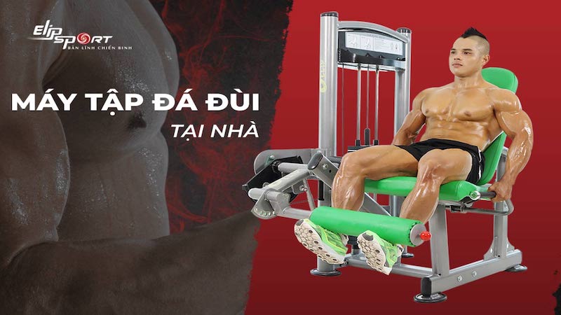 M&aacute;y tập đ&aacute; đ&ugrave;i gi&uacute;p săn chắc cơ đ&ugrave;i