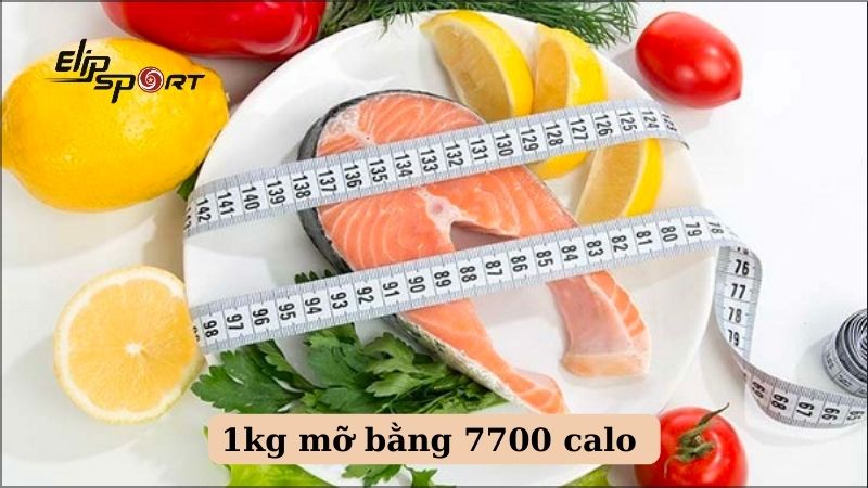 1kg sẽ được t&iacute;nh bằng 7700 calo
