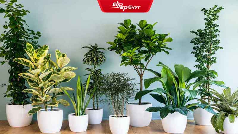 Chăm ch&uacute;t, tỉa t&oacute;t c&acirc;y cảnh l&agrave; th&uacute; vui thư gi&atilde;n của c&aacute;c bậc cha mẹ
