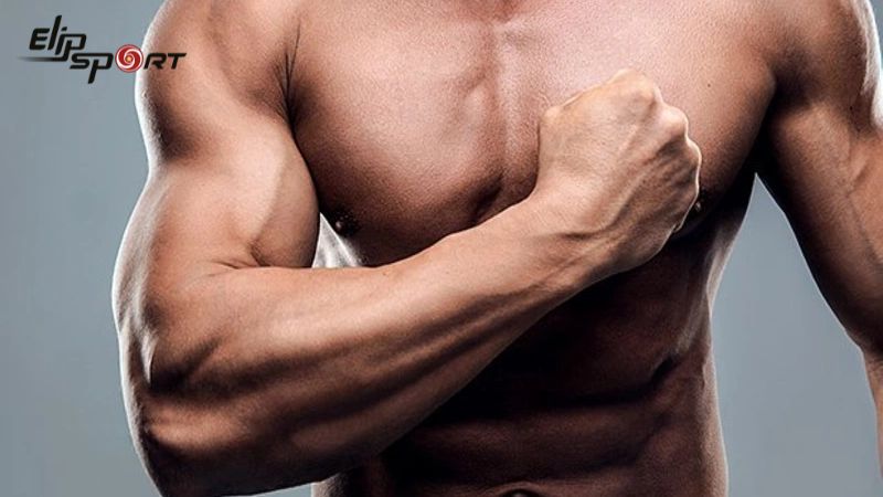 Chạy bộ có thể giúp người gầy tăng cường sức mạnh cơ bắp