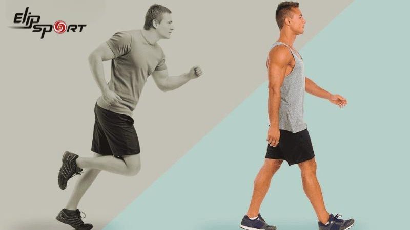 Cả đi bộ v&agrave; chạy bộ đều l&agrave; c&aacute;c hoạt động thể lực c&oacute; lợi cho sức khỏe, gi&uacute;p tăng cường sức mạnh cơ bắp