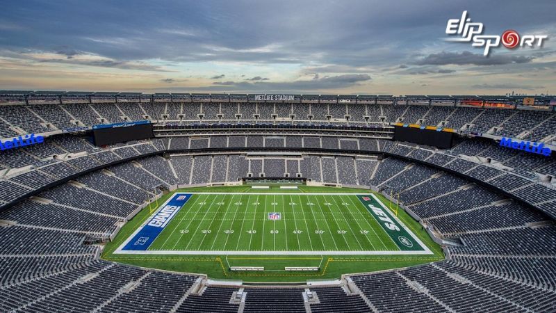 S&acirc;n vận động MetLife