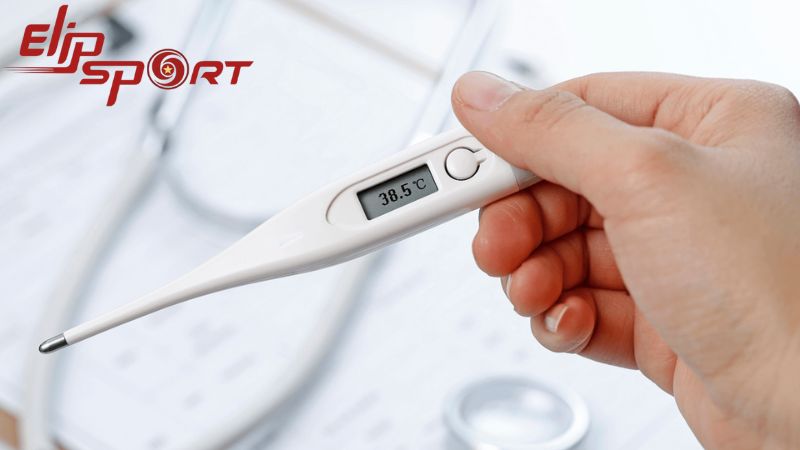 Rễ rau ng&oacute;t c&oacute; c&ocirc;ng dụng giảm sốt