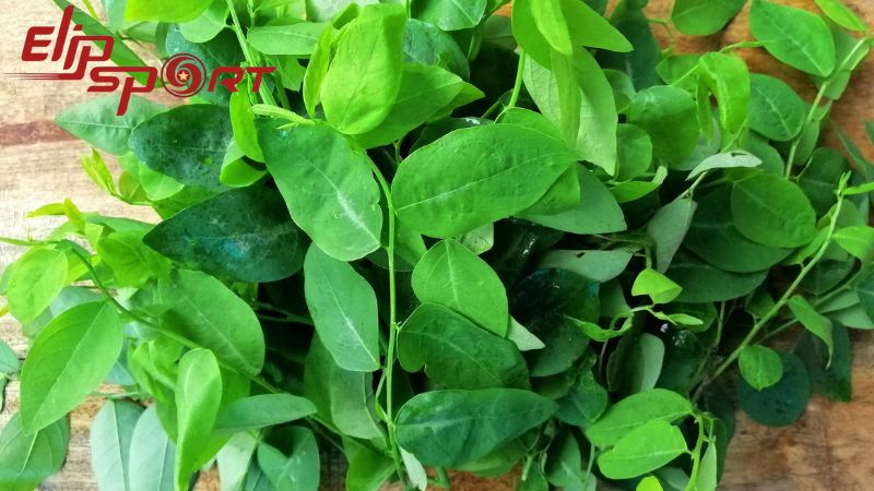 Trong 100g rau ng&oacute;t sẽ c&oacute; rất nhiều chất dinh dưỡng kh&aacute;c nhau
