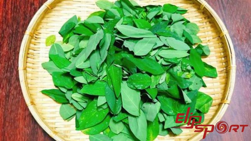 H&agrave;m lượng vitamin C cao đến 185mg/100g rau ng&oacute;t hỗ trợ vận chuyển chất b&eacute;o