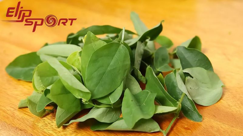 Bắt đầu ng&agrave;y mới với một bữa s&aacute;ng bổ dưỡng chứa rau ng&oacute;t