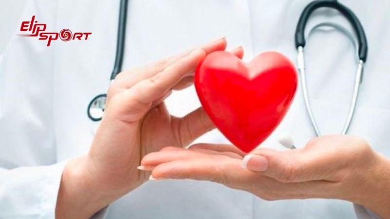 C&aacute;c axit b&eacute;o trong rong biển rất c&oacute; lợi cho sức khoẻ tim mạch