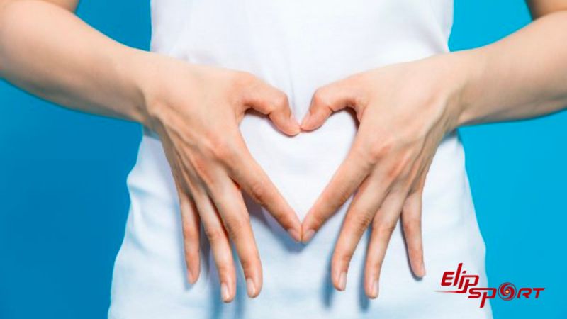 H&agrave;m lượng chất xơ cao trong rong biển gi&uacute;p cải thiện hệ thống ti&ecirc;u ho&aacute;