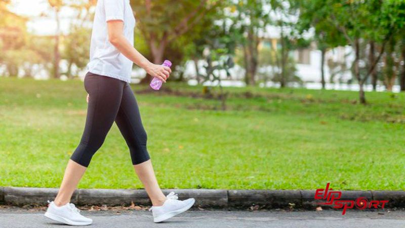 H&agrave;m lượng calo cao n&ecirc;n b&aacute;nh m&igrave; c&oacute; thể bổ sung đầy đủ c&aacute;c chất dinh dưỡng cho một ng&agrave;y l&agrave;m việc