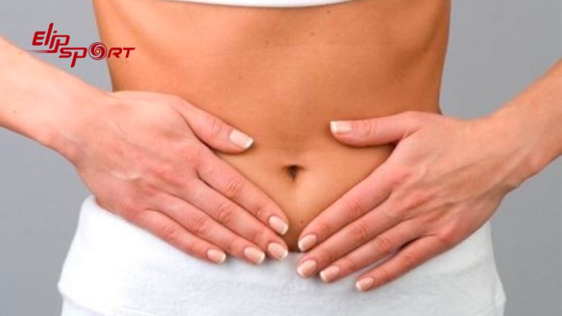 B&aacute;nh m&igrave; chứa h&agrave;m lượng chất xơ cao rất tốt cho hệ thống ti&ecirc;u ho&aacute;