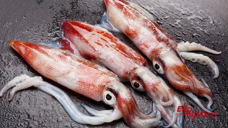 100g mực tươi mang lại khoảng 92 calo