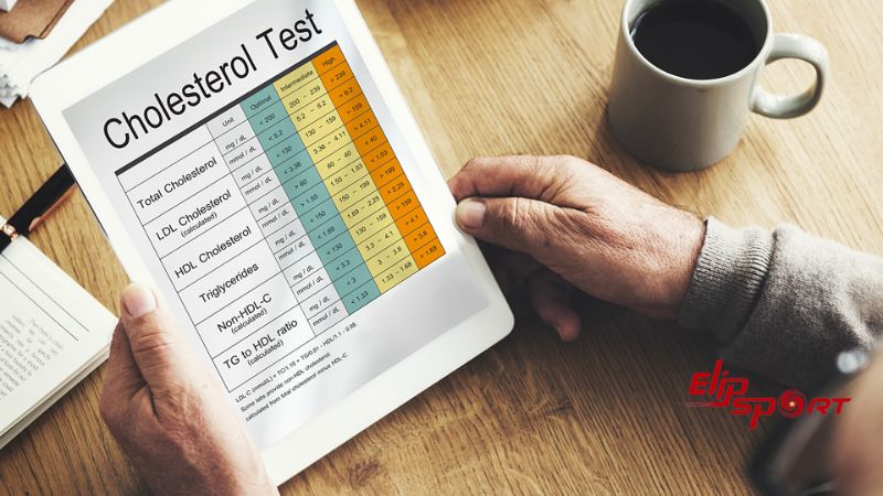 Mực được biết đến l&agrave; m&oacute;n ăn c&oacute; cholesterol thấp