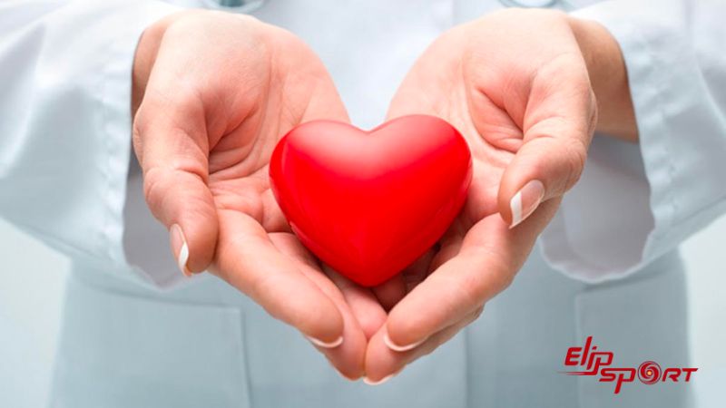H&agrave;m lượng chất b&eacute;o c&oacute; trong mực thấp gi&uacute;p cải thiện v&agrave; ph&ograve;ng ngừa c&aacute;c bệnh tim mạch