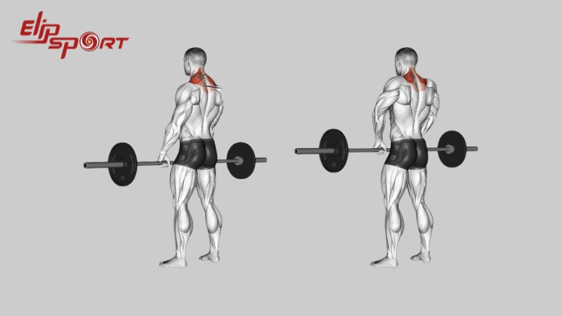 B&agrave;i tập d&agrave;nh hỗn hợp cho vai