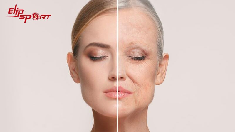 Acid gallic c&oacute; trong nấm kim ch&acirc;m gi&uacute;p ngăn chặn qu&aacute; tr&igrave;nh oxy h&oacute;a