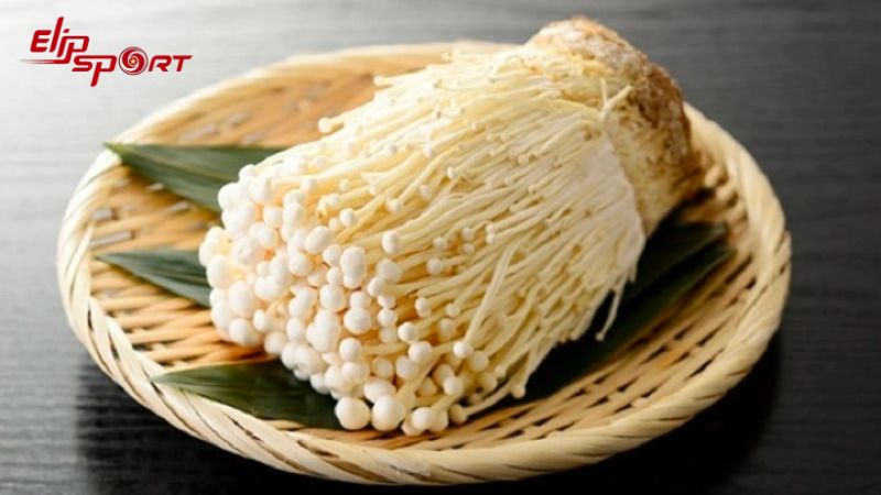 Với nấm kim ch&acirc;m v&agrave; c&aacute;c nguy&ecirc;n liệu dễ t&igrave;m bạn đ&atilde; c&oacute; ngay b&agrave;i thuốc gi&uacute;p bổ trung &iacute;ch kh&iacute;, dưỡng huyết tư &acirc;m
